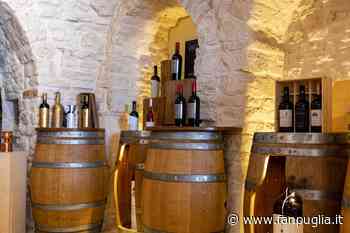 Primitivo di Manduria famoso in America - Fanpuglia - Fanpuglia