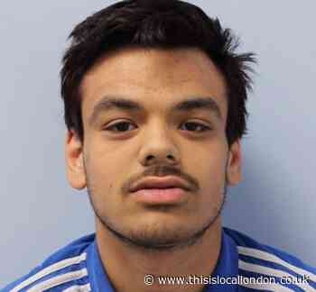 Man jailed after trying to attack police officers at Harrow