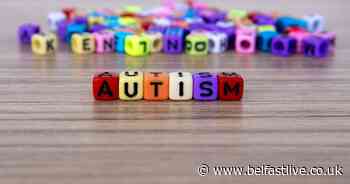 Belfast council agrees autism champion for the city - Belfast Live