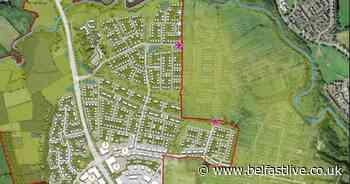 Lisburn plan for 200-bed hotel and 1,300 houses proposed - Belfast Live