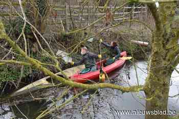 Burgemeester en schepen ruimen zwerfvuil vanuit kano (Lebbeke) - Het Nieuwsblad