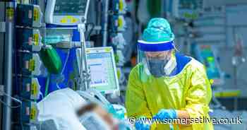 Three people die with coronavirus in Somerset after five days of no Covid fatalities - Somerset Live