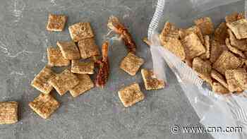 Cinnamon Toast Crunch can't turn shrimp tail saga into a 'positive', professor says