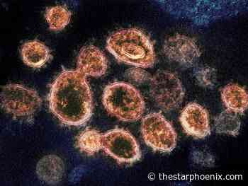 COVID-19: Sask. reports 190 new cases, 1 new death, 2,298 vaccine doses administered