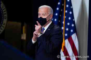 Biden's Dogs Back at White House After Ruff Start