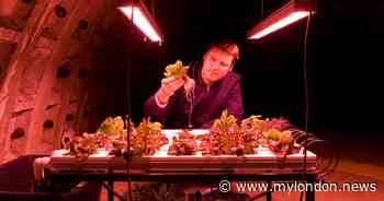 Tesco, M&S and Waitrose get food from this secret farm beneath the London Underground in Clapham - MyLondon