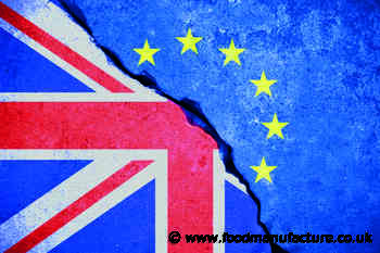 British food faces 'outright export bans' in wake of EU exit - FoodManufacture.co.uk