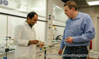Scientists create edible food packaging films from seaweed - New Food