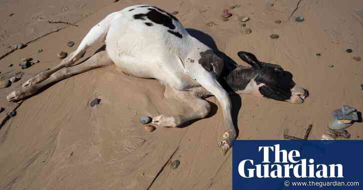 NSW floods bring chaos and destruction – in pictures
