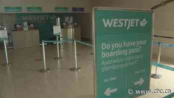 WestJet's Charlottetown-Toronto flight to return June 24 - CBC.ca