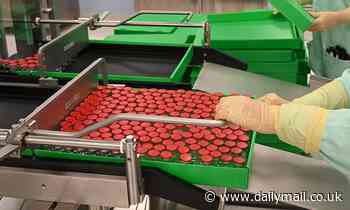 Female rowing club branded 'pornographic' pose for new naked calendar