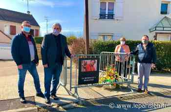 Saint-Thibault-des-Vignes : une marche blanche en mémoire d’Iderlindo - Le Parisien