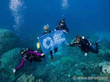 Scaling up on a shoestring while citizen scientists analyse the Great Barrier Reef
