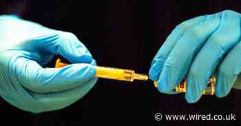 Vaccines are making some long Covid sufferers feel better