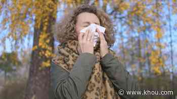 Allergies not so bad? They could get worse as freeze delayed pollen - KHOU.com