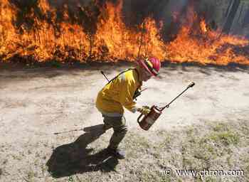 Don't be alarmed: Prescribed burn planned at Houston Arboretum - Chron