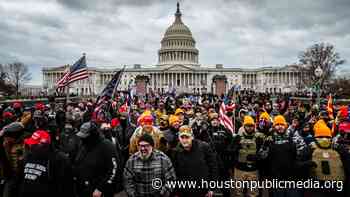 Report: Texas Risk Of Domestic Violent Extremism Is Higher Than Average - Houston Public Media