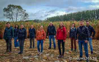 'De Mol'-kandidaat zwaar onder vuur: “Onsympathiek, irritant en kinderachtig” - Nieuws365