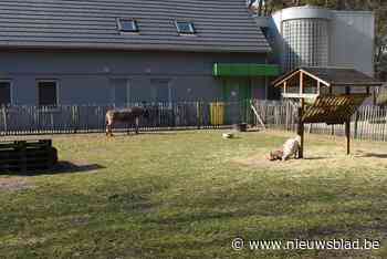 Pimpernieuw neemt Molse zorgboerderij over van De Sprong - Het Nieuwsblad