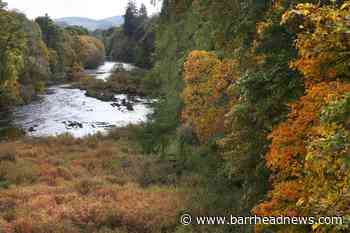 Girl, 15, dies after getting into difficulties on the River Tweed - Barrhead News