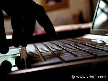 'Like playing whack-a-mole': Do cyber-crime crackdowns have any real impact?