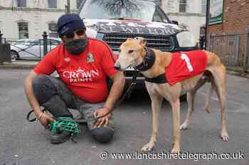 How taking care of greyhound Goldie helped Badar 'stay positive' during lockdown