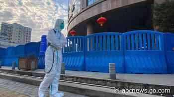 1 report, 4 theories: Scientists mull clues on virus' origin