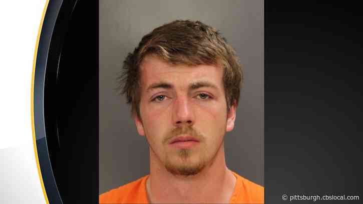 24-Year-Old Matthew Hilty Arrested After Police Chase In Armstrong County