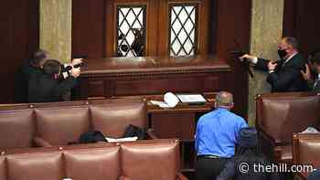 House chamber fortified with bulletproof doors: report