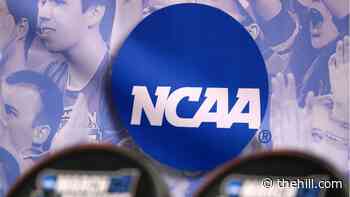Lawmakers question NCAA over 'disparate' weight room at women's championships