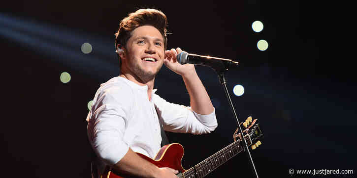 Niall Horan Says Being in One Direction Was Sometimes Like Being a 'Prisoner' Due to Fan Hysteria