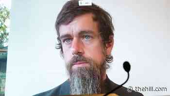 Twitter CEO pokes fun at Congress's hearing questions with 'yes or no' poll