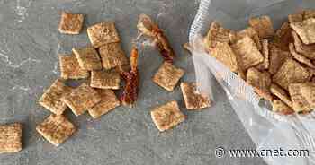 The Cinnamon Toast Crunch shrimp fiasco explained     - CNET