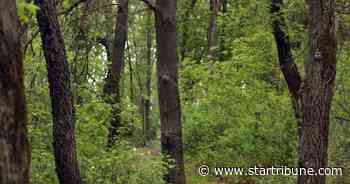 Dakota County park plans to preserve Native American history