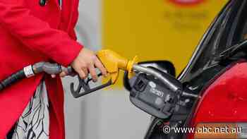 Suez blockage should not drive up petrol prices, but Easter might