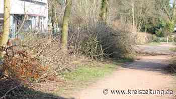 Kritik an Sulingens Verwaltung gerne – aber bitte sachlich - kreiszeitung.de