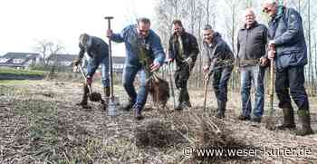 Preis für Pflanzaktion - WESER-KURIER