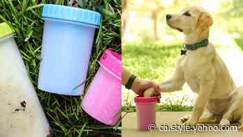 Say goodbye to muddy paws with this $16 gadget that has more than 25,000 reviews on Amazon - Yahoo Canada Shine On