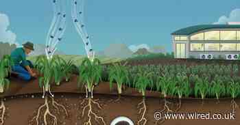 Supercharged soil could pull carbon right out of the air
