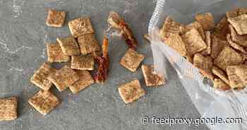 The Cinnamon Toast Crunch shrimp fiasco explained     - CNET