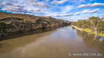 There's 'no law against manipulation' in $2b water markets, but ACCC pushes for change