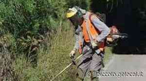 Affidato lo sfalcio dell’erba alla Minerva spa di Savogna - Il Piccolo