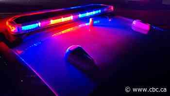 Woman pulled over by police impersonator on dark B.C. highway rattled by encounter