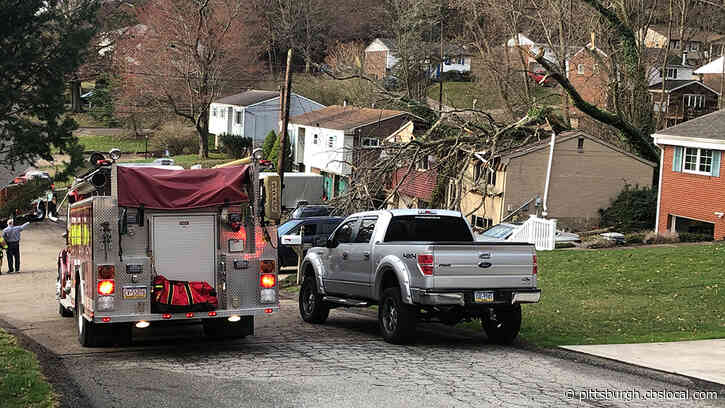 Tree Falls Onto House In Shaler Township, Significant Damage Reported