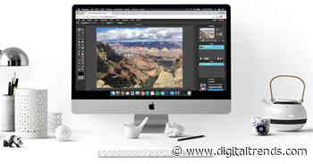 Crop out pesky photo bombers on your computer or mobile device