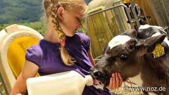 Was die Landfrauen Dissen‐Bad Rothenfelde‐Hilter für das Frühjahr planen - noz.de - Neue Osnabrücker Zeitung