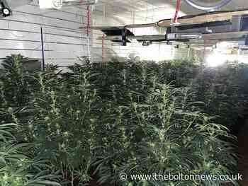 Cannabis farm discovered as police respond to burglary