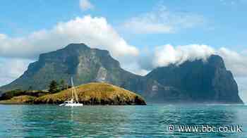 Lord Howe Island: Saving an Australian paradise's 'cloud forest'
