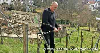 Ex-Forstdirektor Gernot "Junior" Scheerer aus Neunkirchen macht Wein und Musik - Saarbrücker Zeitung