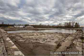Rederij wil binnenkort nieuwe vergunning aanvragen voor Maritieme Campus